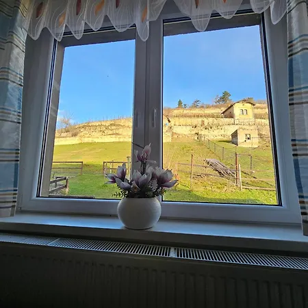 Und Strausswirtschaft Im Weinberg * Freyburg