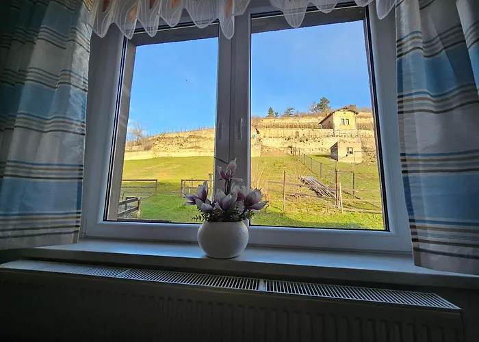 Und Strausswirtschaft Im Weinberg * Freyburg