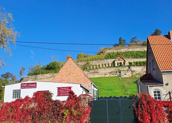 Daire Und Strausswirtschaft Im Weinberg *